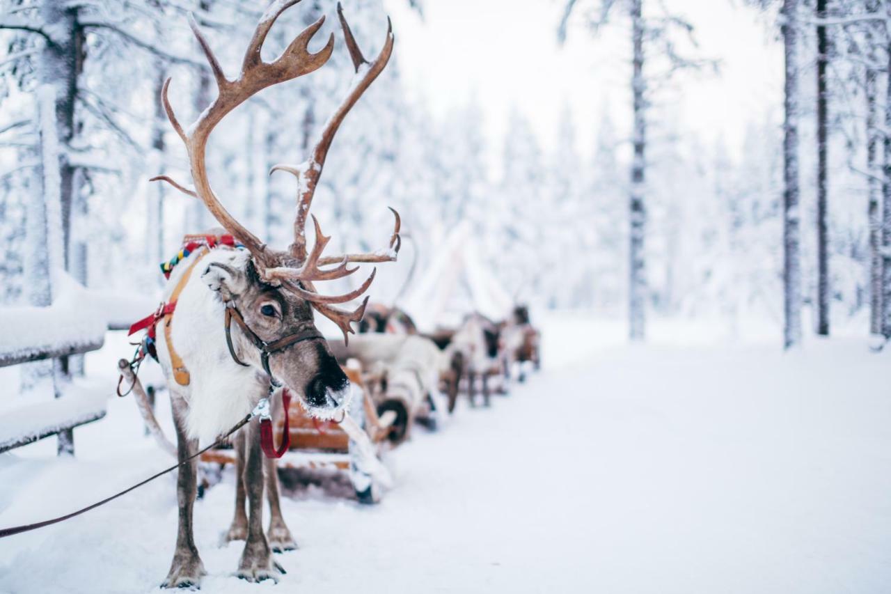 Forenom Serviced Valtakatu * Rovaniemi